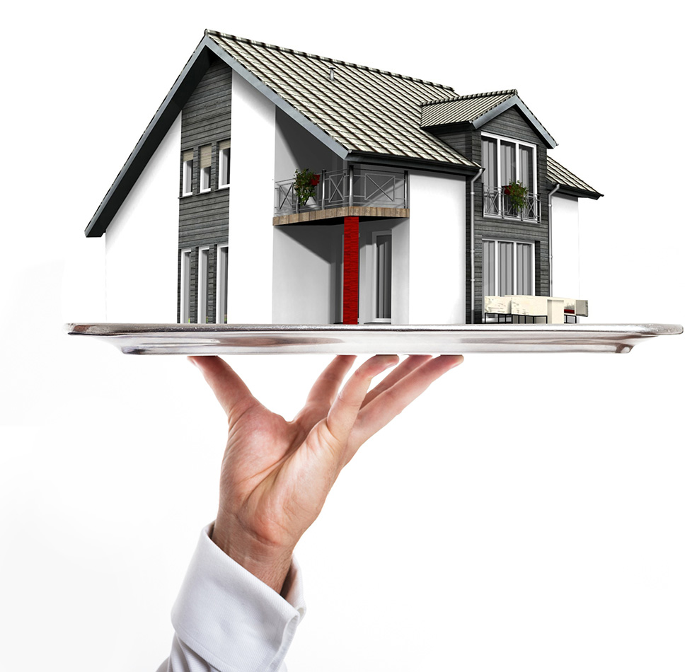 günter bau header picture